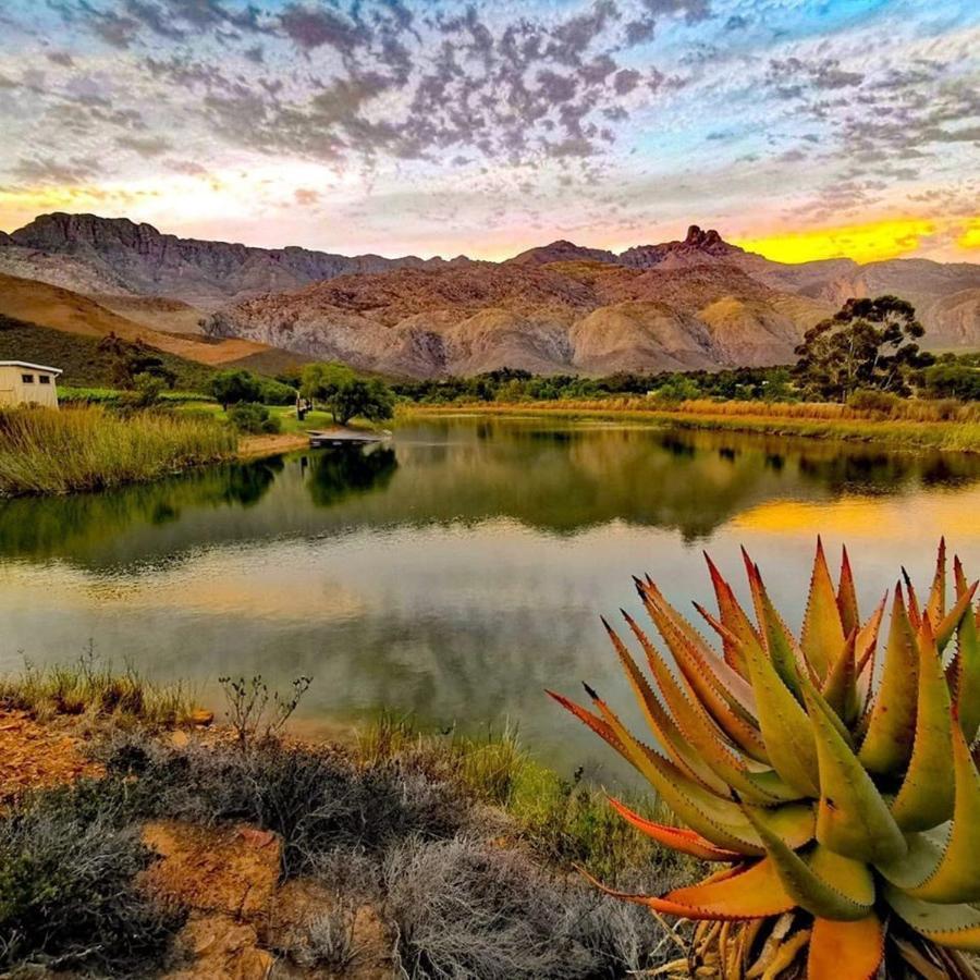 Oaksrest Vineyards Guest Farm Ξενοδοχείο Ladismith Εξωτερικό φωτογραφία