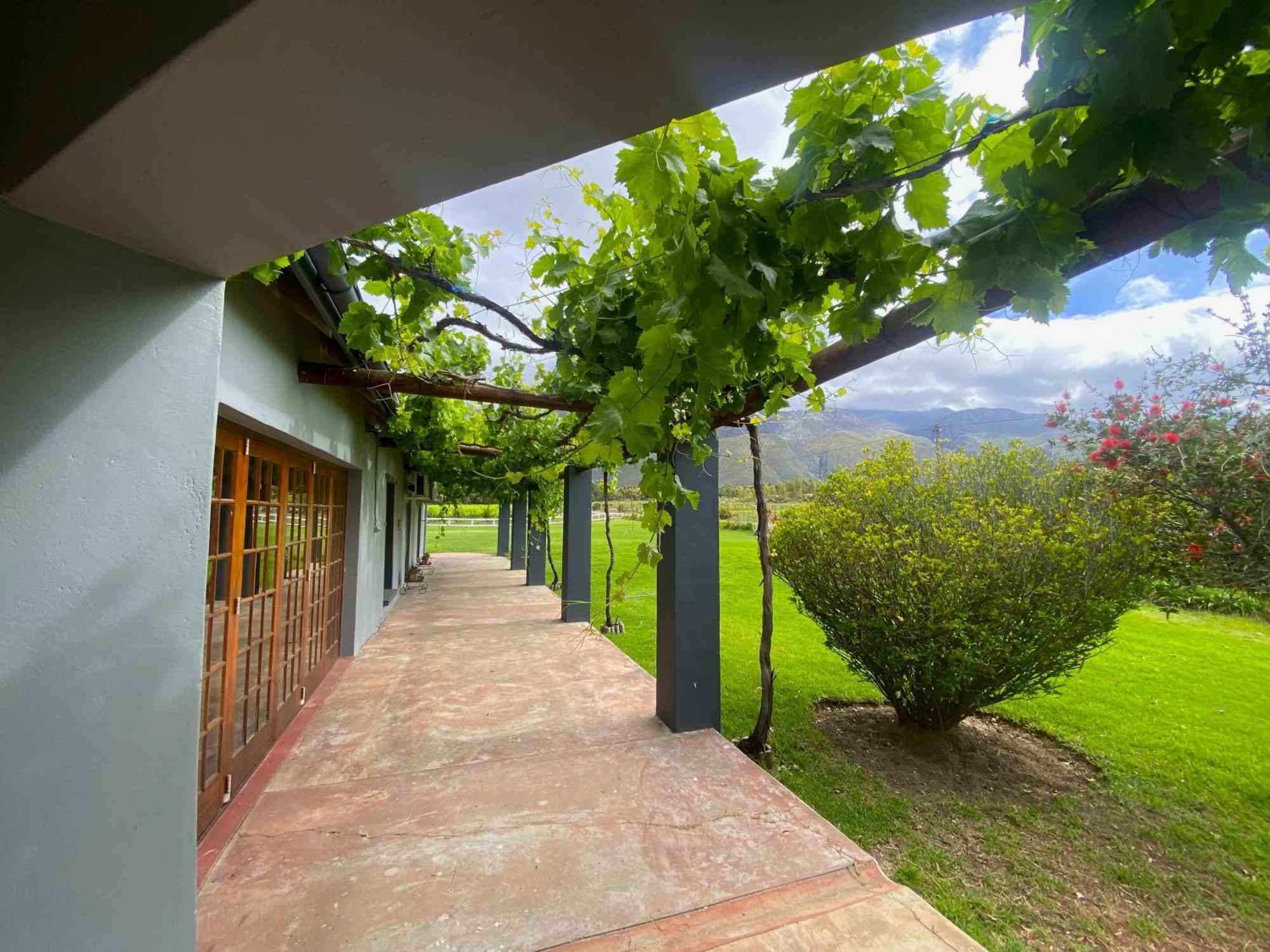 Oaksrest Vineyards Guest Farm Ξενοδοχείο Ladismith Εξωτερικό φωτογραφία