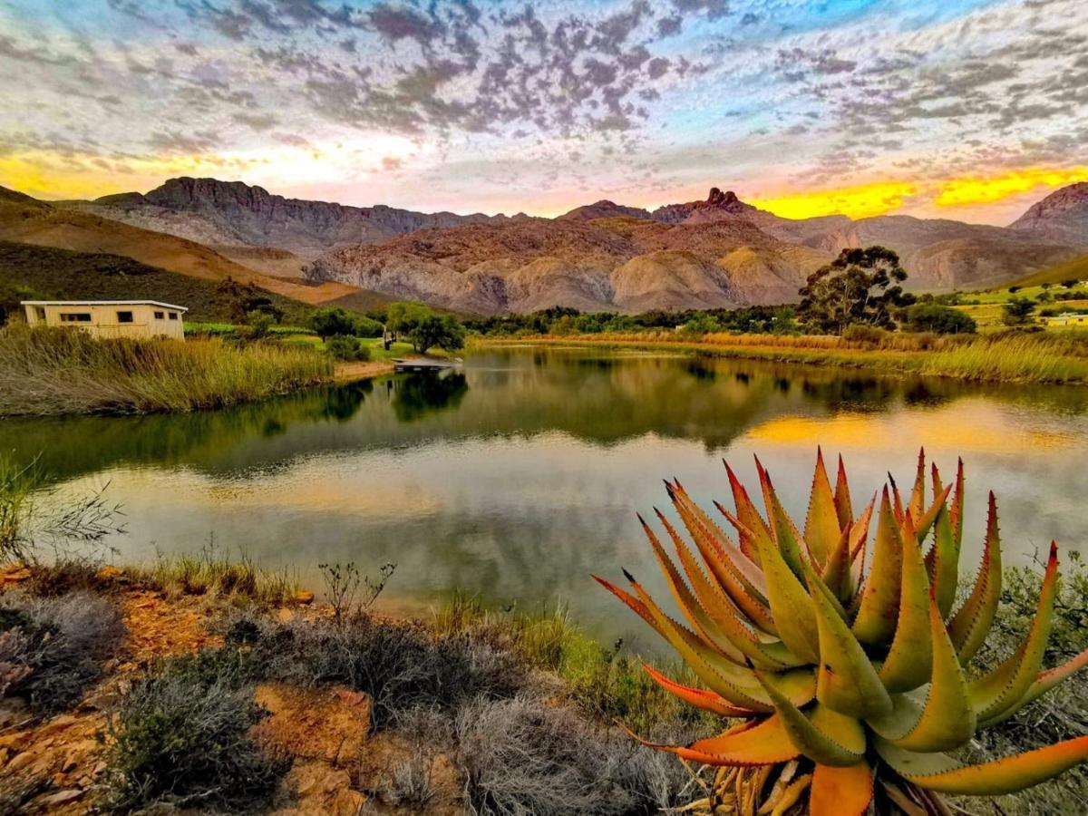 Oaksrest Vineyards Guest Farm Ξενοδοχείο Ladismith Εξωτερικό φωτογραφία